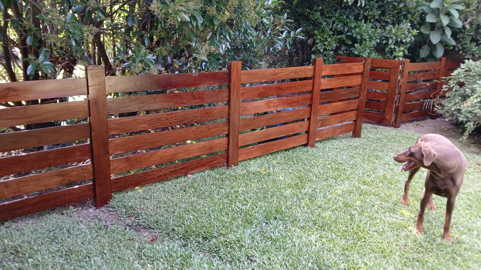 Restauración y reparación